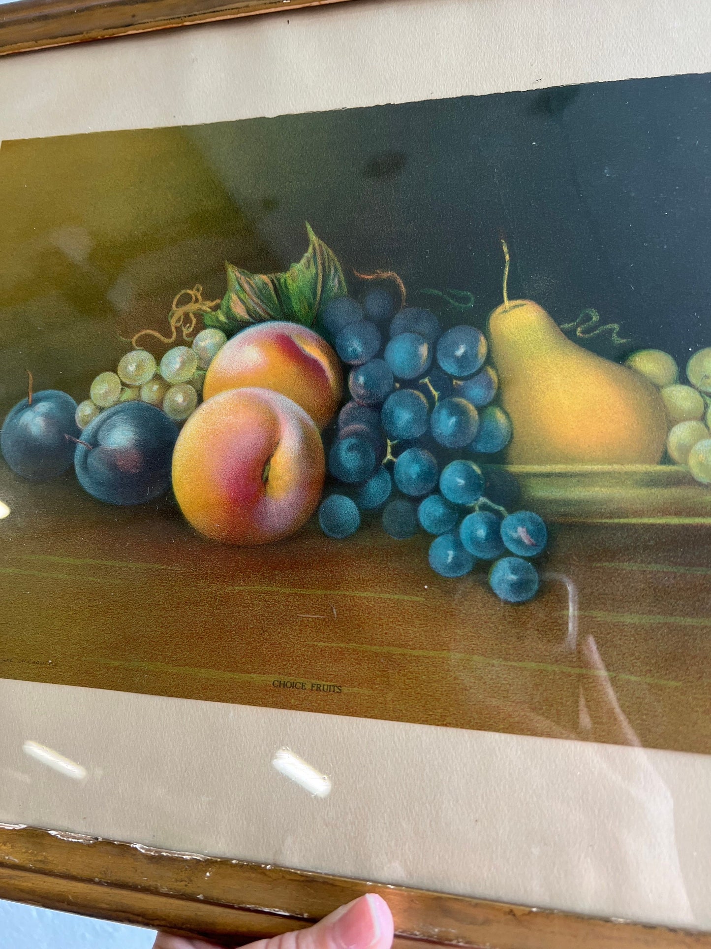 Antique Fruit Still Life Chromolithograph, by James Lee, Vintage Fruit Art, Antique Art, Framed 17.5" x 13.5"