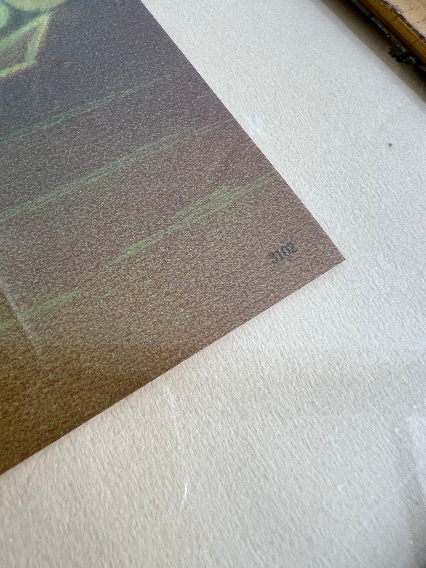 Vintage Fruit Still Life Chromolithograph by James Lee, Framed Art (17.5" x 13.5")