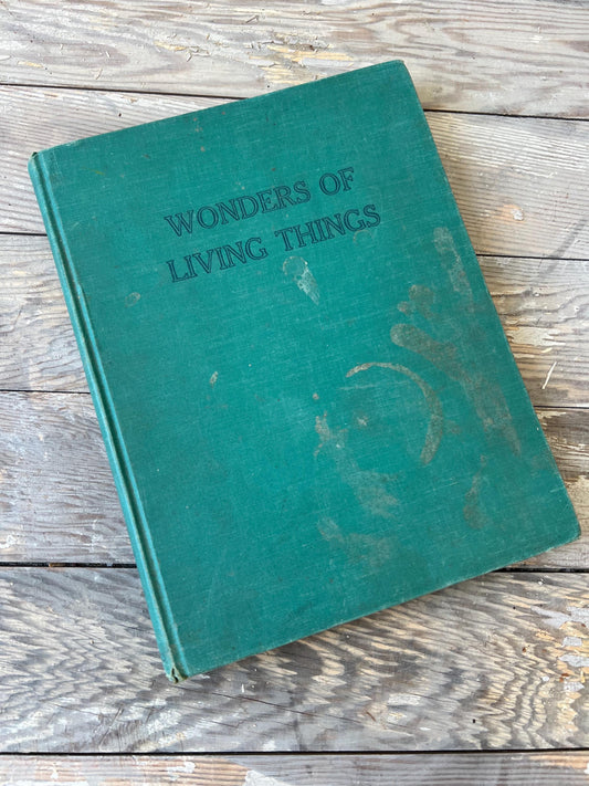 Vintage Wonders of Living Things Book: Teal Green World Art, 1943