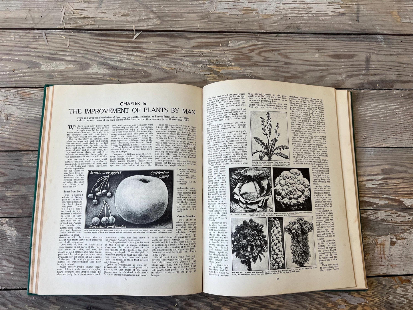 Vintage Wonders of Living Things Book: Teal Green World Art, 1943